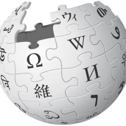 🔎 Search in Wikipedia