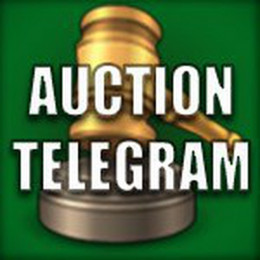 Auction Telegram