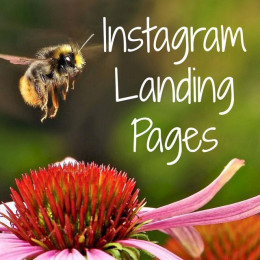 Landing Page Instagram