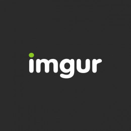 The Imgur Guru