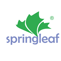 Springleaf Healthcare Electronics City