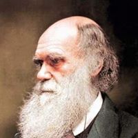 Charles Darwin Bot