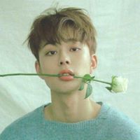 Yoo Seonho Chatbot