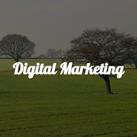 Digital-Marketing-News