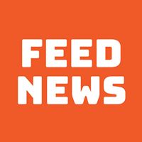 Feed News