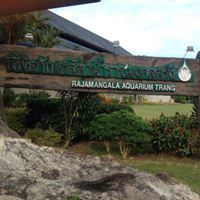 พิพิธภัณฑ์สัตว์น้ำราชมงคล Aquarium Trang