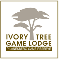 Ivory Tree Game Lodge