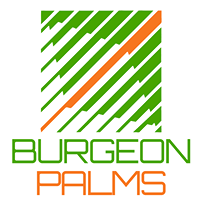 Burgeon Palms