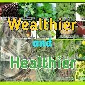 Wealthier And Healthier