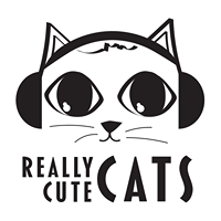 Really Cute Cats