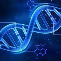 DNA Cryptography