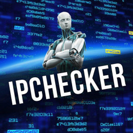 IP Сheсker