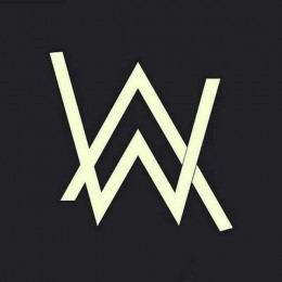 Alan Walker bot