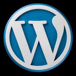 Wordpress User Enumeration