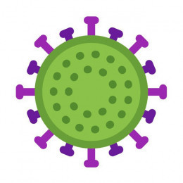 Coronavirus 🦠