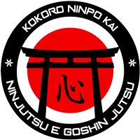 Kokoro Ninpo Kai