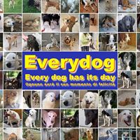 Everydog - Every dog has its day - Ognuno avrà il suo momento di felicità