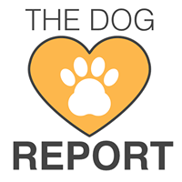 My Dog Report