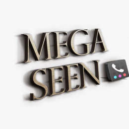 MegaSeen - Bot