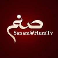 Sanam Hum TV Drama