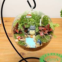 Vườn Sinh Thái Thủy Tinh - Terrarium