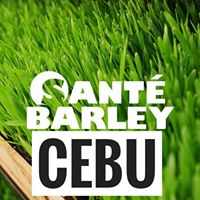 Santé Barley Cebu