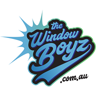 The Window Boyz