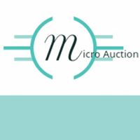 Micro Auction