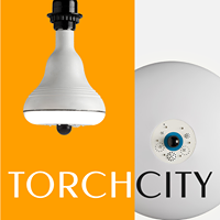 Torchcity: Light Bulb Security Kit