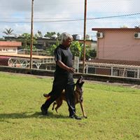 Denis K9 Training